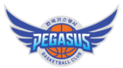 한국가스공사 페가수스